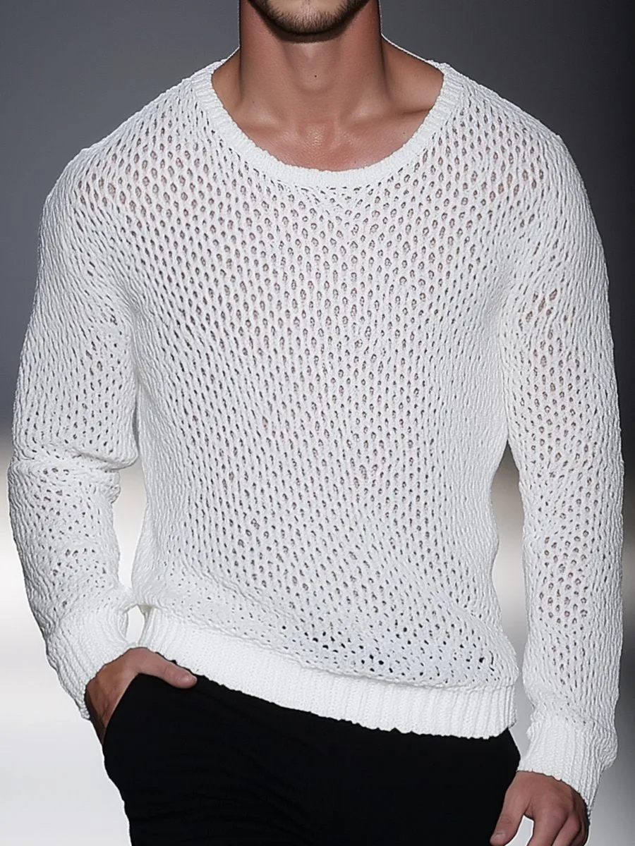Casual Simple Mesh Crew Neck Long Sleeve Sweater