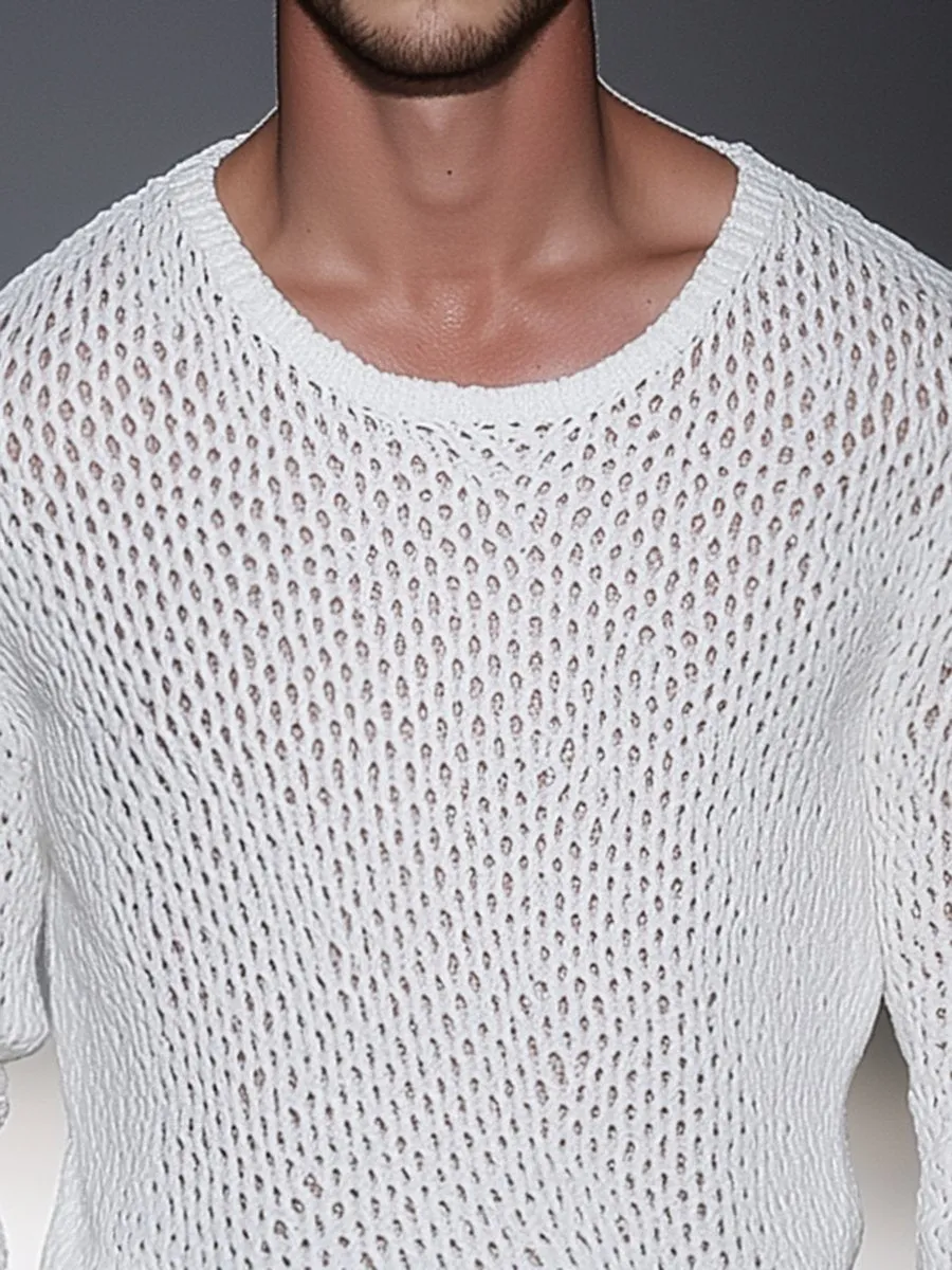 Casual Simple Mesh Crew Neck Long Sleeve Sweater