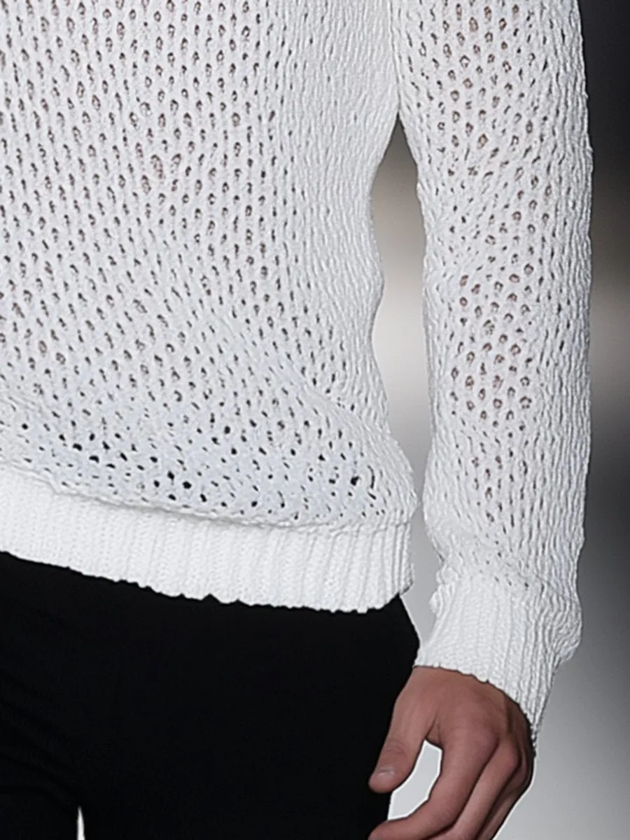 Casual Simple Mesh Crew Neck Long Sleeve Sweater